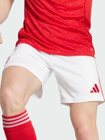Шорты Adidas модель JI9515 Фото