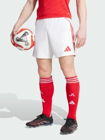 Шорты Adidas модель JI9515 Фото