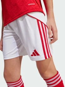 Шорты Adidas модель JI9528 Фото