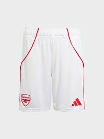 Шорты Adidas модель JI9528 Фото
