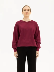 Худи и свитшоты Fruit of the loom Lightweight raglan sweat модель 862138041S Фото