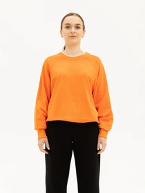 Худи и свитшоты Fruit of the loom Lightweight raglan sweat модель 862138044S Фото