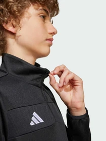 Худи и свитшоты Adidas Tiro модель JD0565 Фото