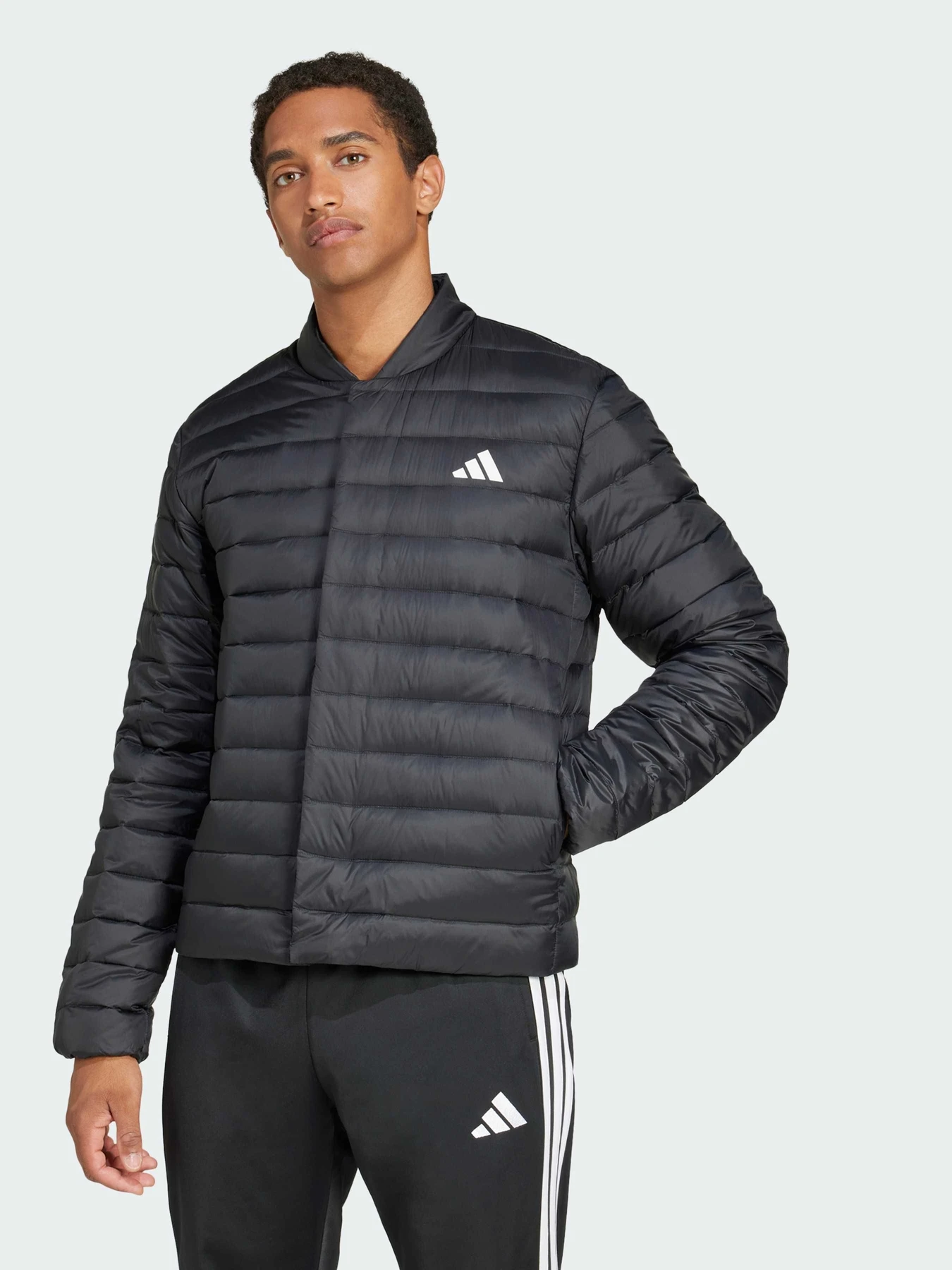 Куртки и дубленки Adidas модель JJ1198 Куртки и дубленки Adidas модель JJ1198 Фото