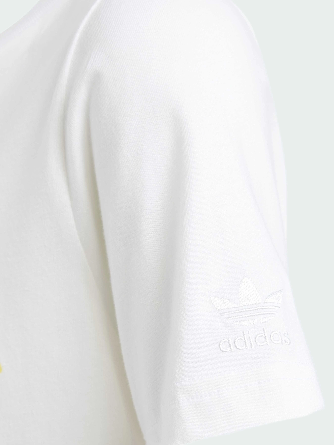 Футболки і поло Adidas Graphics модель IY5453 Фото