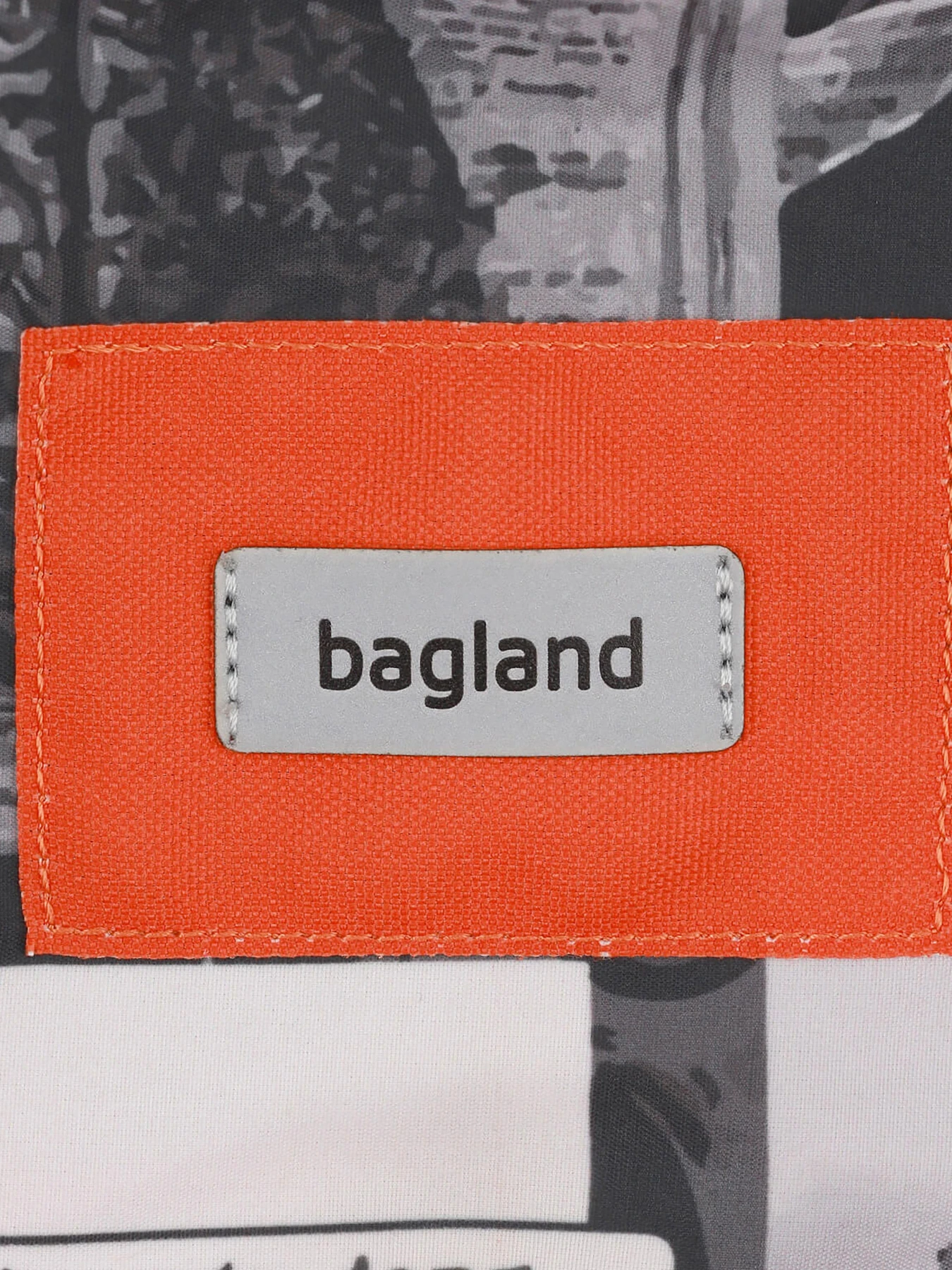 Рюкзаки Bagland модель BGStylishMulticolored5RKZK Фото