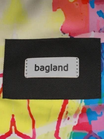 Рюкзаки Bagland модель BGStylishMulticolored6RKZK Фото