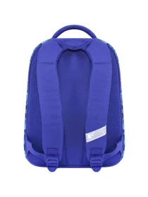 Рюкзаки Bagland модель BGTurtleMulticolored1RKZK Фото