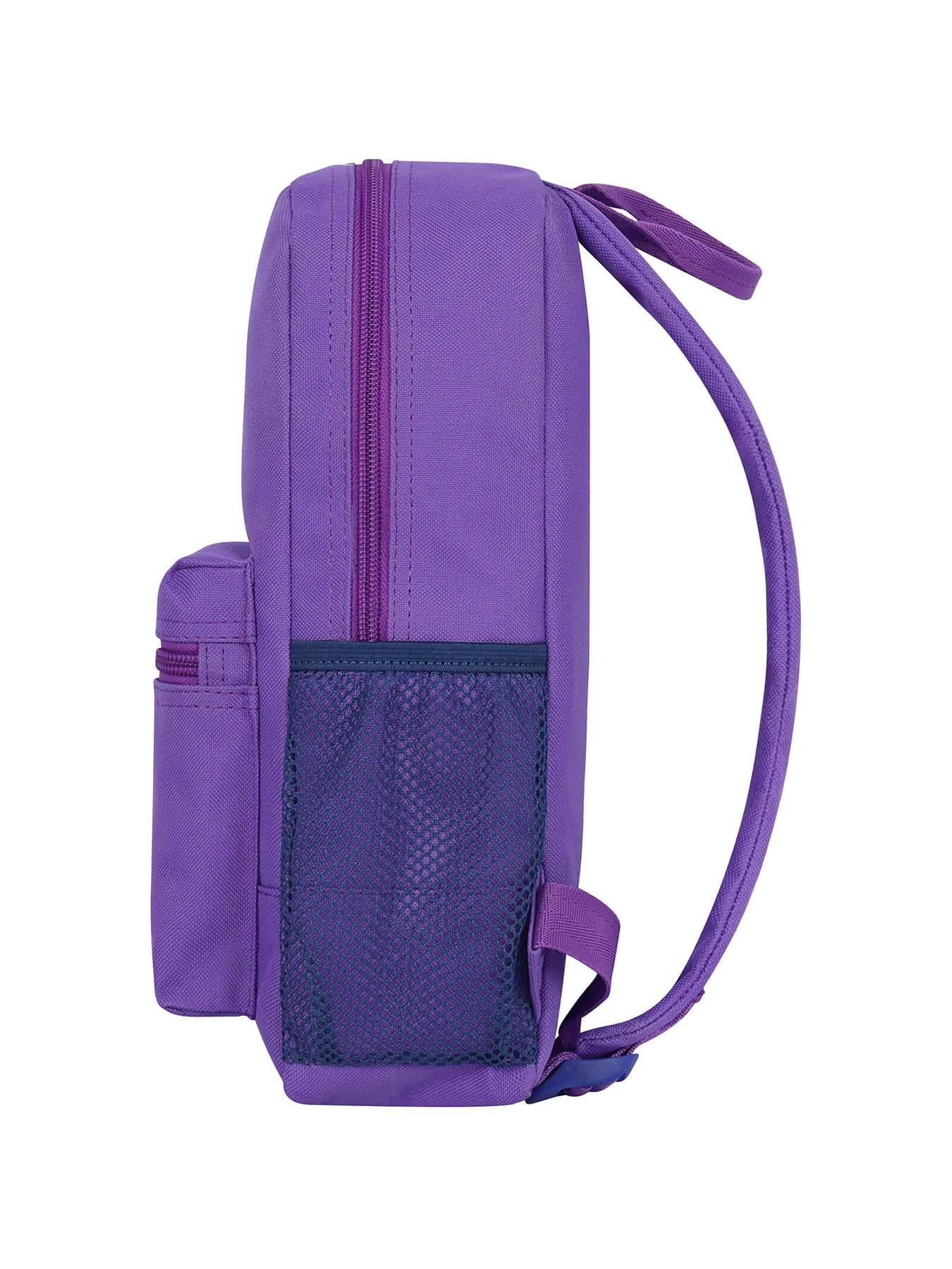 Рюкзаки Bagland модель BGYoungMiniVioletRKZK Фото