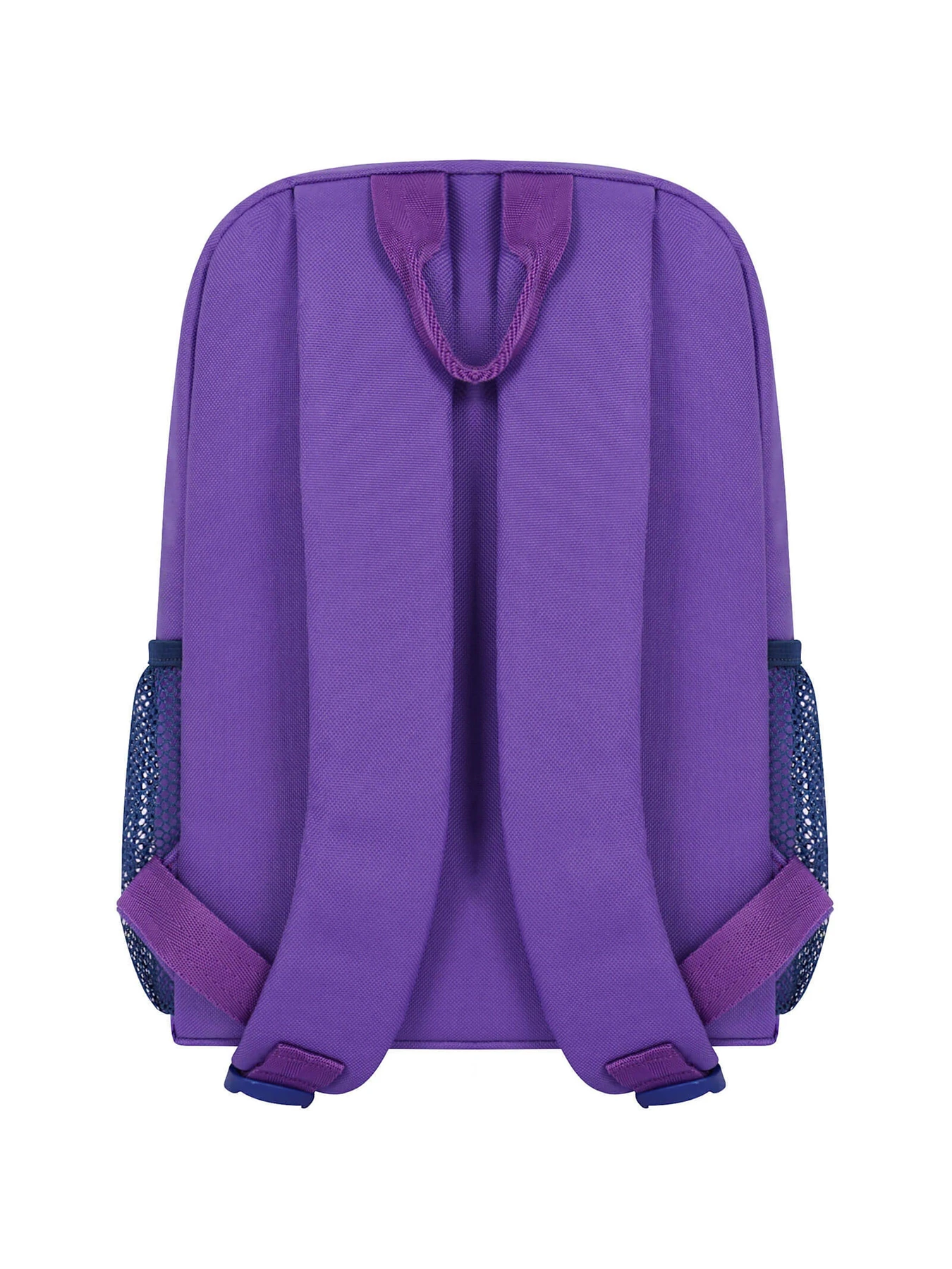 Рюкзаки Bagland модель BGYoungMiniVioletRKZK Фото