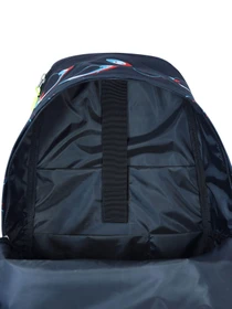 Рюкзаки Bagland модель BGStylishMulticolored13RKZK Фото