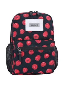 Рюкзаки Bagland модель BGYoungMiniMulticolored23327RKZK Фото