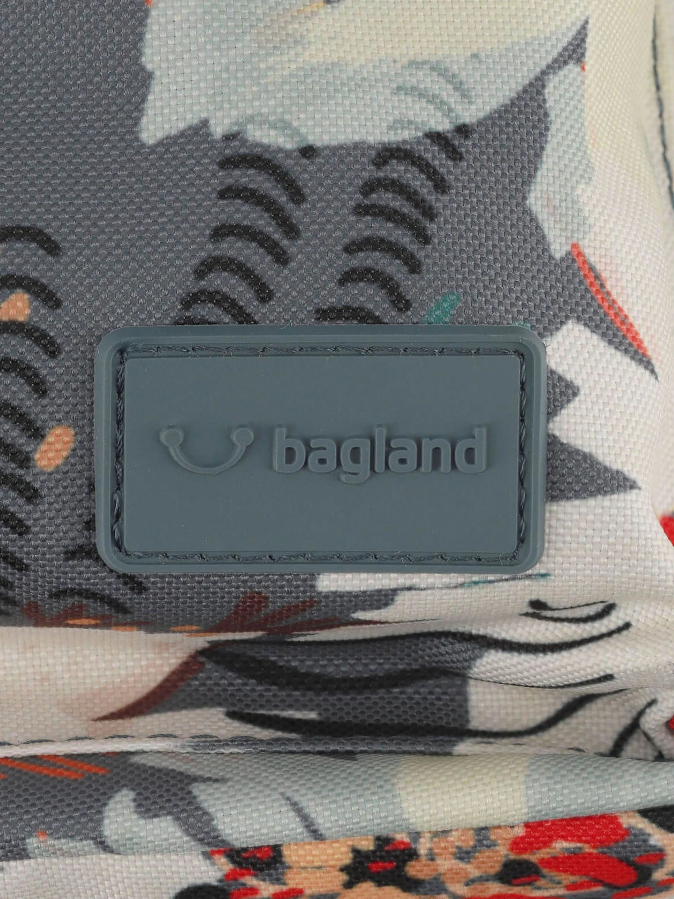 Рюкзаки Bagland модель BGYoungMiniMulticolored23329RKZK Фото