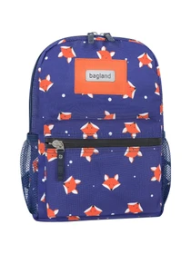 Рюкзаки Bagland модель BGYoungMiniMulticolored233210RKZK Фото
