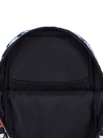 Рюкзаки Bagland модель BGYoungMiniMulticolored233212RKZK Фото