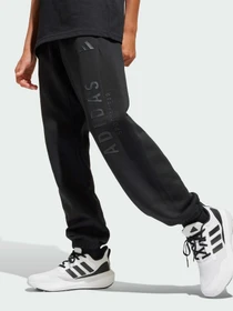 Брюки Adidas модель JC7614 Фото