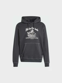 Худи и свитшоты Adidas Graphics модель JP4483 Фото