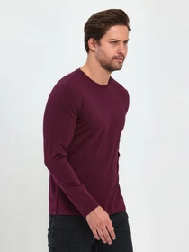 Худи и свитшоты Trend Collection модель TC9411BordoLNGSLV Фото
