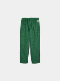 Брюки PUMA x Tmnt Tech Pants модель 630103 Фото