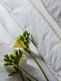 Комплект постільної білизни з автентичною вишивкою та кантом Gold із перкалю в чохлі для зберігання Ecotton модель 25144 Фото