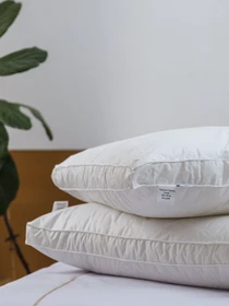 Подушка Ecofill Premium антиалергенна з подвійним бортом та наповнювачем біопух в чохлі для зберігання Ecotton модель 25070 Фото