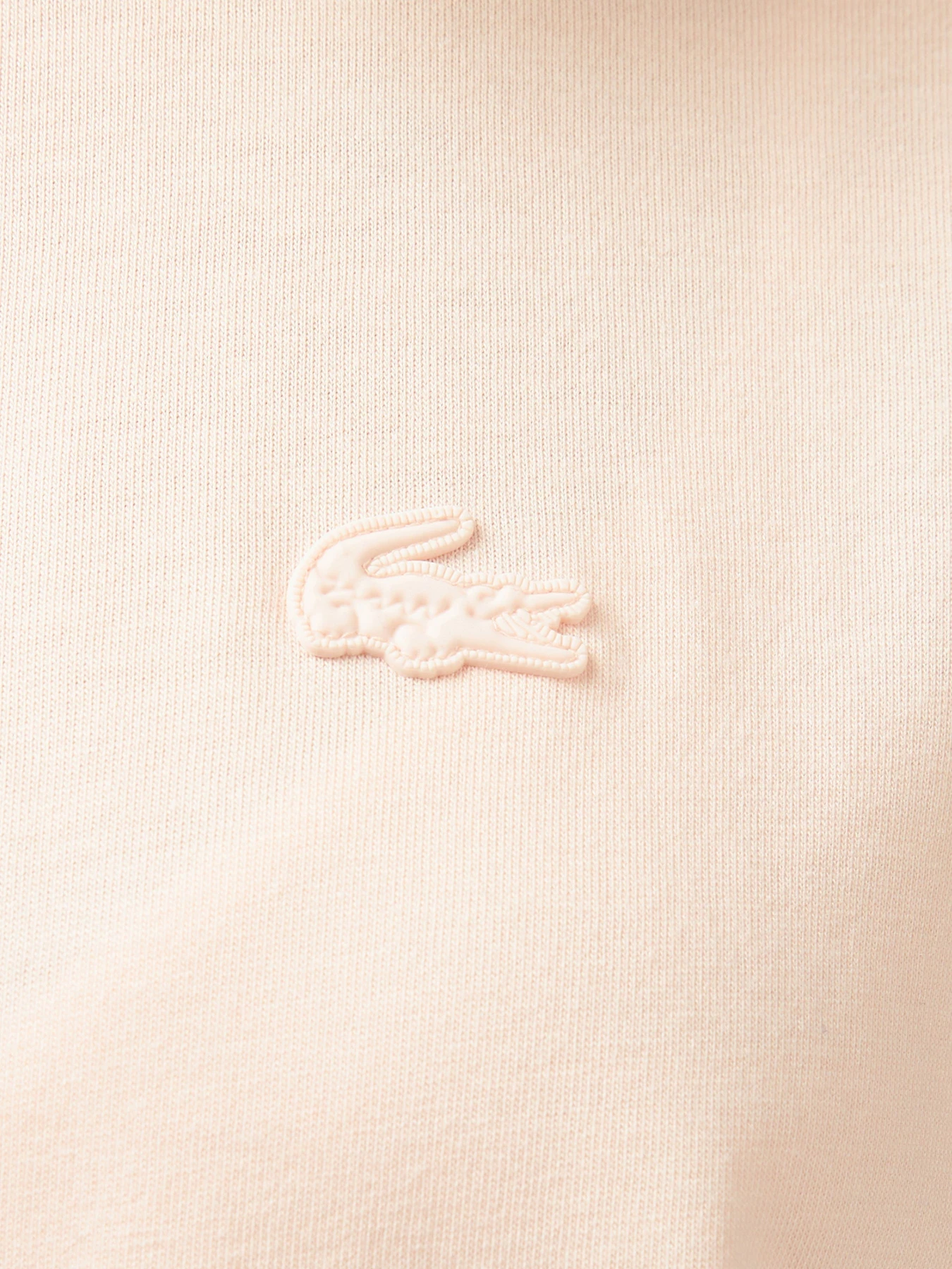 Футболки и поло Lacoste модель TF0503HCZ Футболки и поло Lacoste модель TF0503HCZ Фото