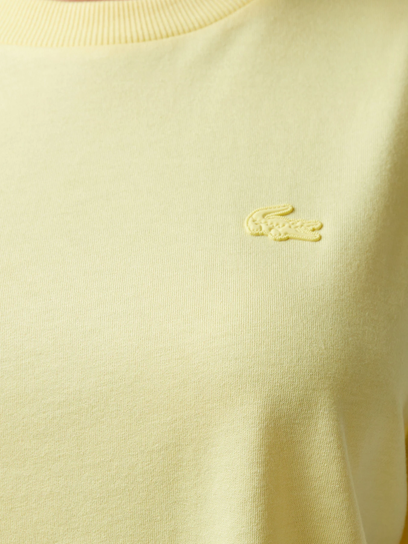 Футболки и поло Lacoste модель TF0503107 Футболки и поло Lacoste модель TF0503107 Фото