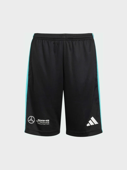 Шорты Adidas модель JV5428 Фото