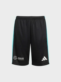 Шорты Adidas модель JV5428 Фото