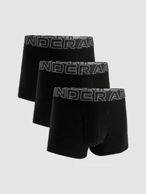 Нижнее белье Under Armour модель 1383891-001 Фото