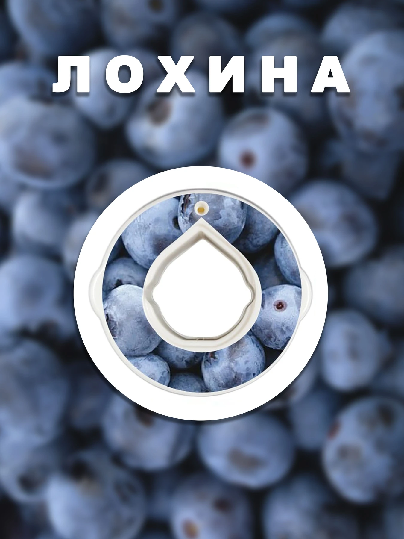 Пляшки Without Капсула Для Пляшки Лохина модель 800020 Пляшки Without Капсула Для Пляшки Лохина модель 800020 Фото