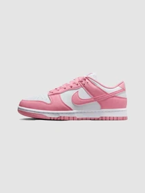 Кроссовки NIKE Dunk Low Next Nature модель DD1873-112 Фото