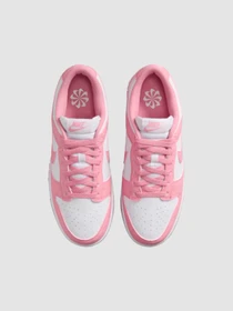 Кроссовки NIKE Dunk Low Next Nature модель DD1873-112 Фото