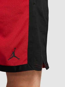 Шорты Jordan Sport Dri-Fit модель DH9077-687 Фото
