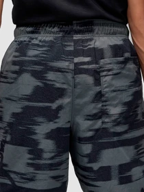 Шорти Jordan Printed Shorts модель FV7237-068 Фото
