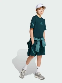 Футболки і поло Adidas ZNE модель JW2432 Фото