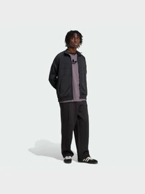 Брюки Adidas Adicolor модель JX1506 Фото