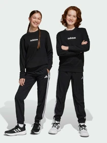 Штани Adidas Adidas Essentials модель JD6500 Фото