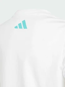 Футболки і поло Adidas модель JZ0900 Фото