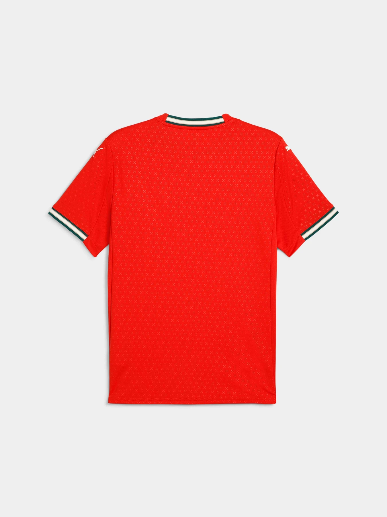 Футболки и поло PUMA Fpf Home Jersey Replica модель 779190 Фото