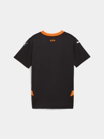 Футболки и поло PUMA Fcsd Away Replica Jr W/o S. модель 775411 Фото