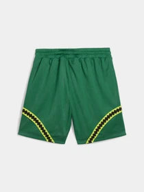 Шорти PUMA Hoops x Tmnt Short модель 630931 Фото