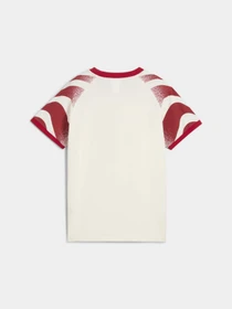 Футболки і поло PUMA x Kidsuper Ringer Tee модель 629513 Фото