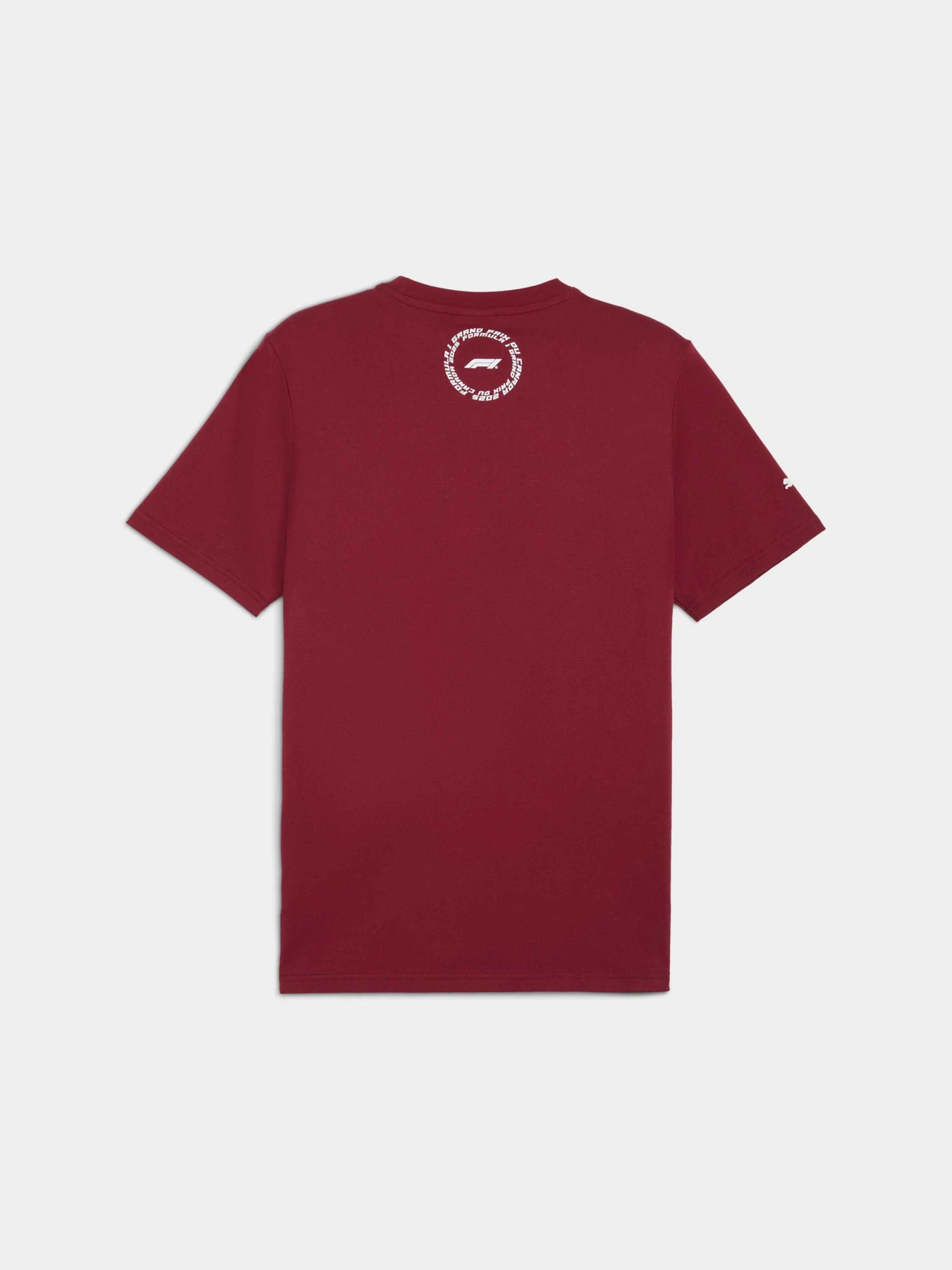 Футболки и поло PUMA F1 Canada Tee модель 630173 Фото