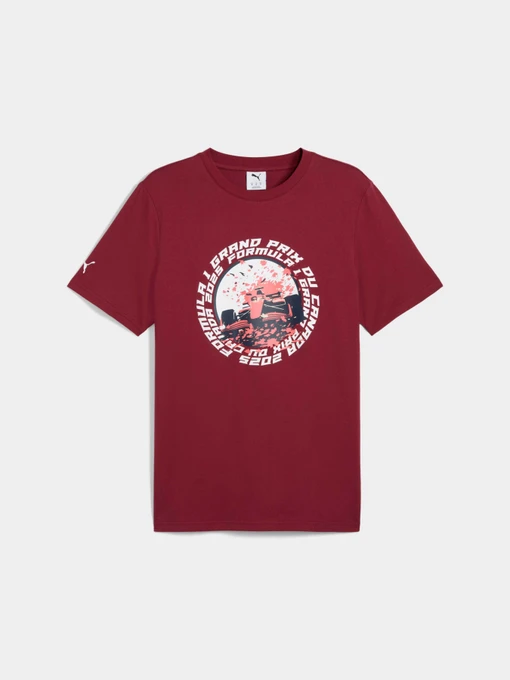 Футболки и поло PUMA F1 Canada Tee модель 630173 Фото