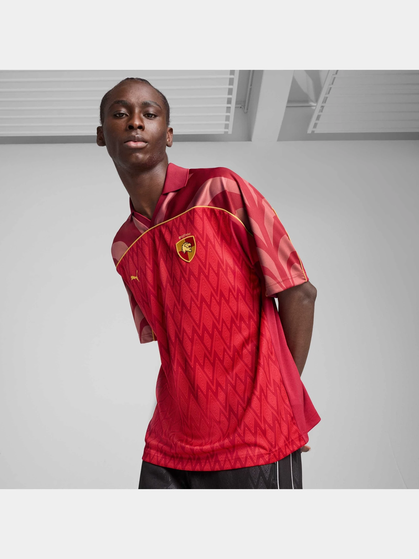 Футболки и поло PUMA x Harry Potter Jersey модель 630096 Футболки и поло PUMA x Harry Potter Jersey модель 630096 Фото