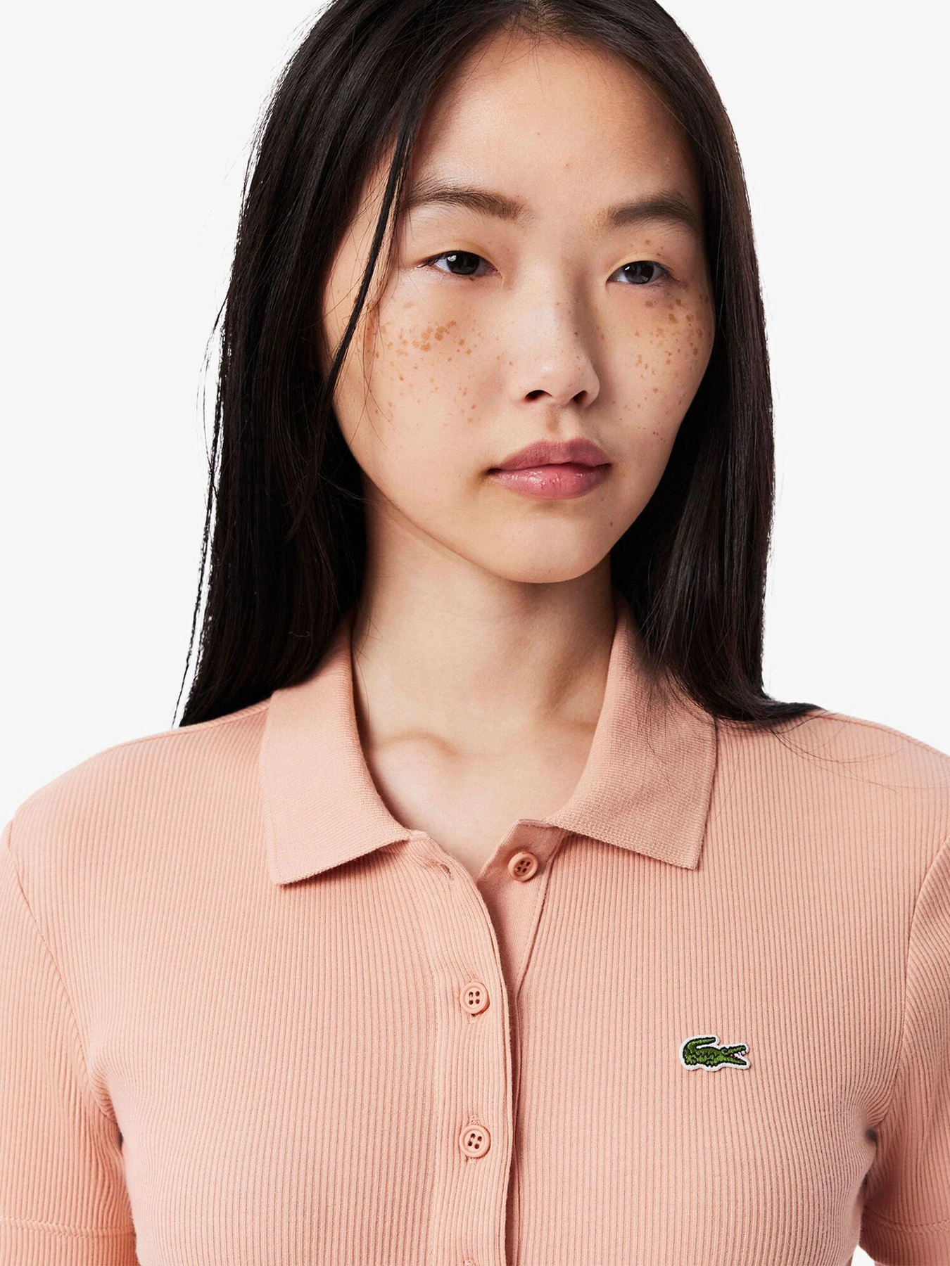 Футболки и поло Lacoste модель DF5377ZIH Футболки и поло Lacoste модель DF5377ZIH Фото