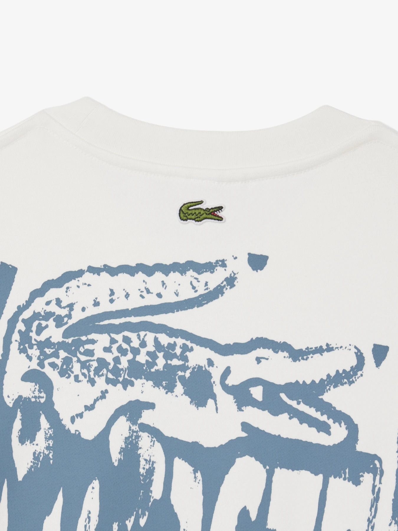Худі та світшоти Lacoste модель SH0287CPI Фото