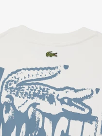 Худі та світшоти Lacoste модель SH0287CPI Фото