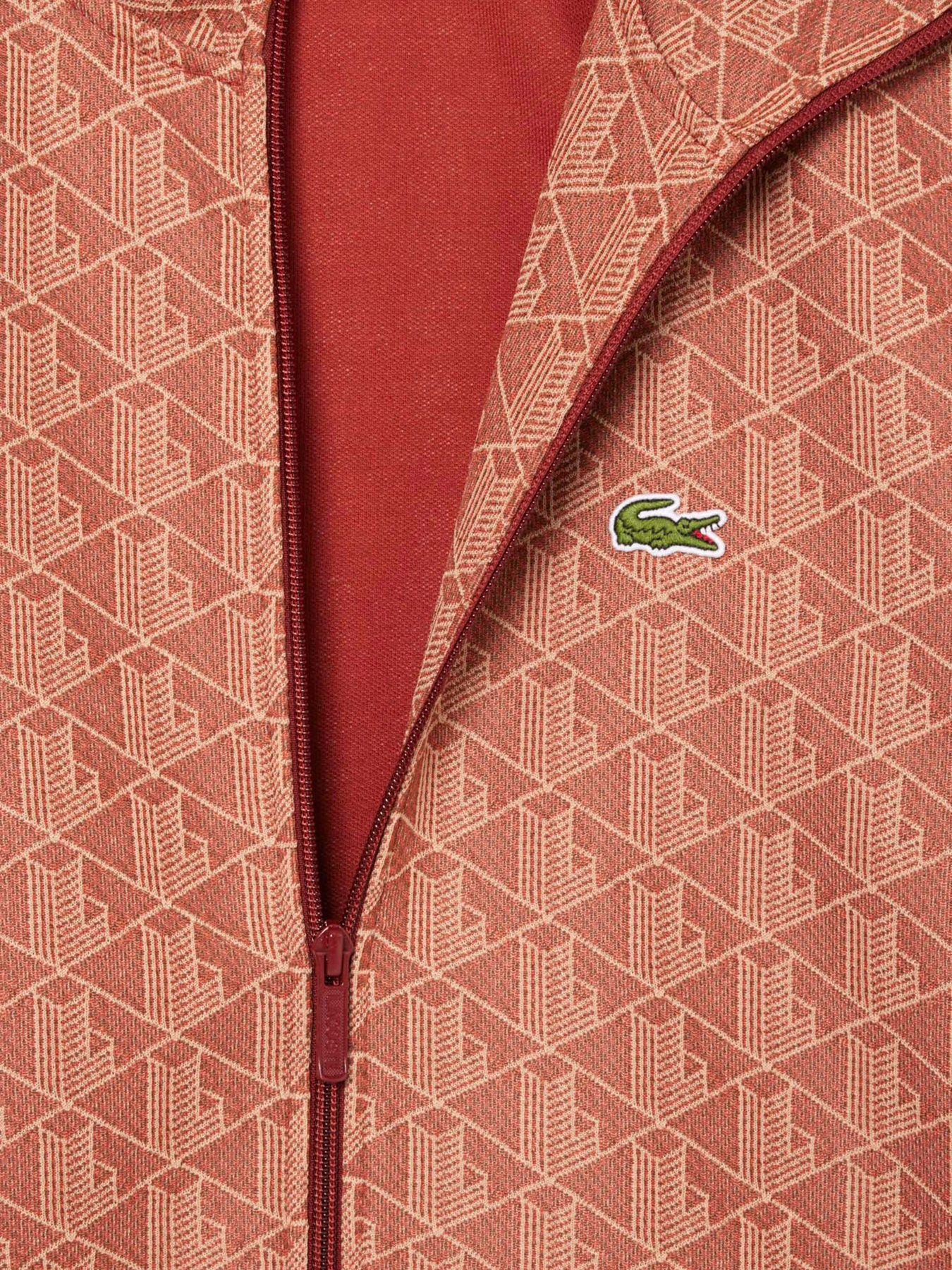 Худи и свитшоты Lacoste модель SH1368GTI Фото